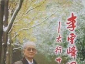 ä½è±æåæ¶é Pdf æ·ä¹¦å
