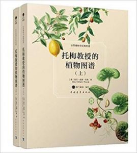 《托梅教授的植物图谱（套装共2册）（世界博物学经典图谱）》[德]奥托·威廉·托梅（作者）epub+azw3