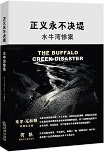 《正义永不决堤：水牛湾惨案》[美]斯特恩（作者）-epub+mobi+azw3